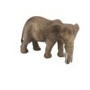 Afrikaanse olifant, vrouwtje 14761SCH Schleich