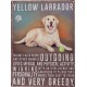 Bord Yellow Labrador TTF0128 TeactorFreak