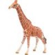 Giraffe, mannetje 14749SCH Schleich