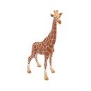 Giraffe, vrouwtje 14750SCH, Schleich